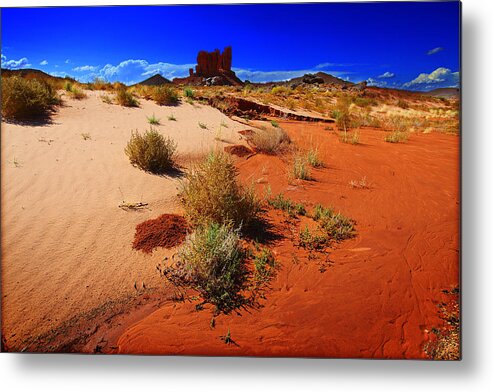 Landscape Metal Print featuring the photograph Monument Valley Utah USA #15 by Richard Wiggins