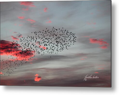Sunrise Metal Print featuring the photograph Morning Stretch III by E Faithe Lester