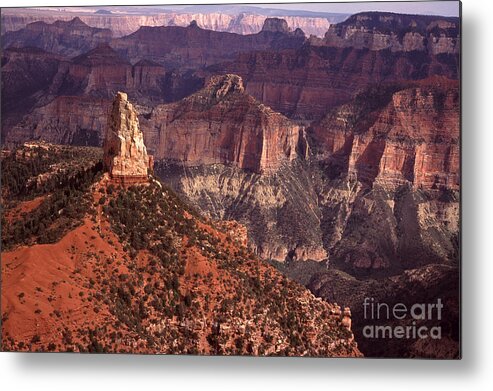 South-west Usa Metal Print featuring the photograph Mt Hayden Grand Canyon #1 by Liz Leyden