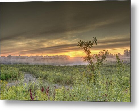 Back Roads Metal Print featuring the photograph Nature in the morning #1 by Nick Mares