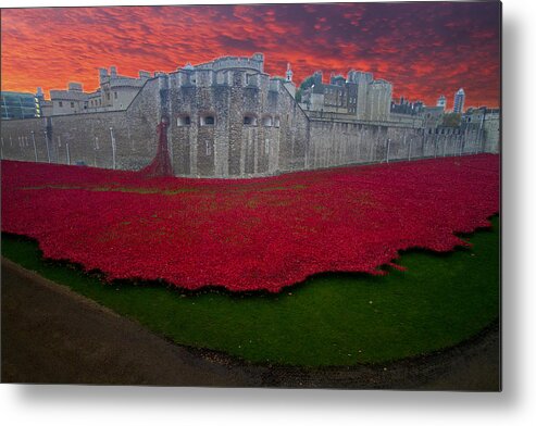 Tower Metal Print featuring the photograph Poppies Tower of London #1 by David French