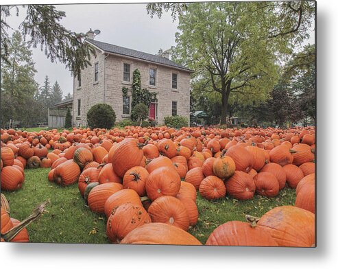 Fall Metal Print featuring the photograph Pumpkin farm #1 by Nick Mares