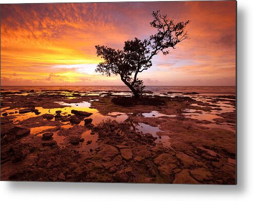 Florida Metal Print featuring the photograph Reverence by Patrick Downey