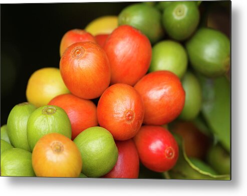 Outdoors Metal Print featuring the photograph Ripe Coffee Cherries #1 by Dustypixel