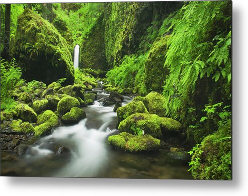 Grass Metal Print featuring the photograph Ruckel Creek Waterfall, Columbia River #1 by Alan Majchrowicz