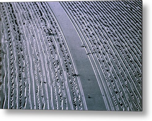 Record Metal Print featuring the photograph Sem Of Grooves In Lp Record #1 by Dr. Tony Brain/science Photo Library.
