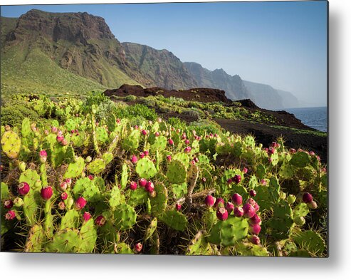 Tranquility Metal Print featuring the photograph Spain, Canary Islands, Tenerife #1 by Walter Bibikow