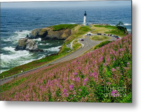 Oregon Metal Print featuring the photograph Summer Time At Yaquina Head #1 by Nick Boren