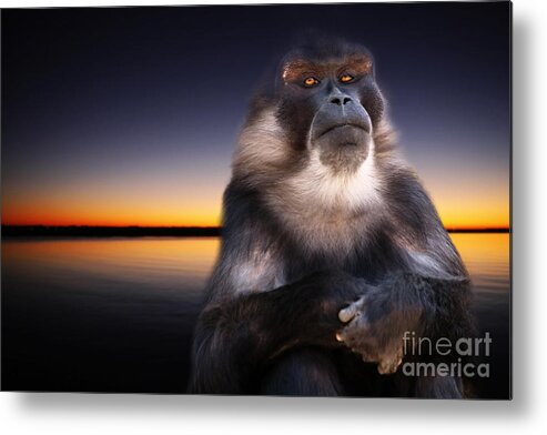 Monkey Metal Print featuring the photograph The view #1 by Christine Sponchia