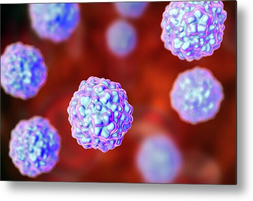Anelloviridae Metal Print featuring the photograph Transfusion Transmitted Virus Particles #1 by Kateryna Kon/science Photo Library
