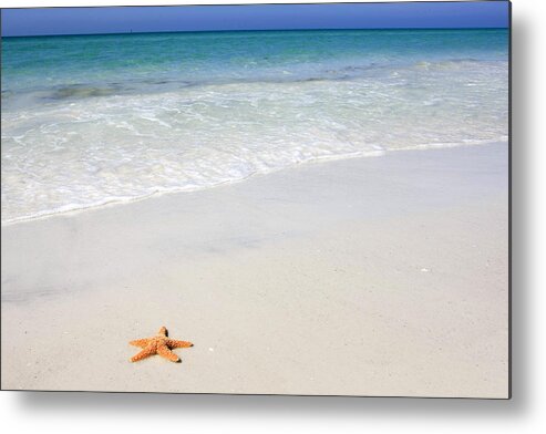 Orange Metal Print featuring the photograph Tropical-beach5 #1 by Chris Smith