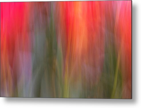 Abstract Metal Print featuring the photograph Tulip Waves #1 by Marion McCristall