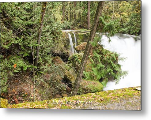 Landscape Metal Print featuring the photograph Whatcom Falls #1 by Judy Wright Lott