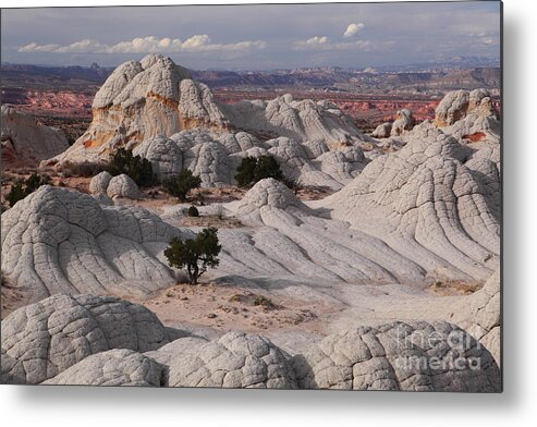 White Pocket Metal Print featuring the photograph White Pocket #1 by Bill Singleton