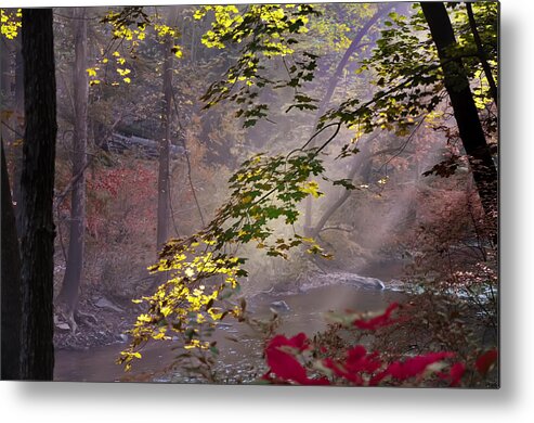 Wissahickon Metal Print featuring the photograph Wissahickon Autumn #1 by Bill Cannon