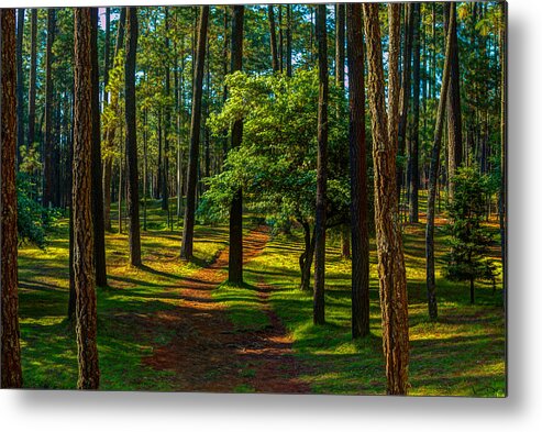 Woods Metal Print featuring the photograph Woodland Path by Robert McKinstry