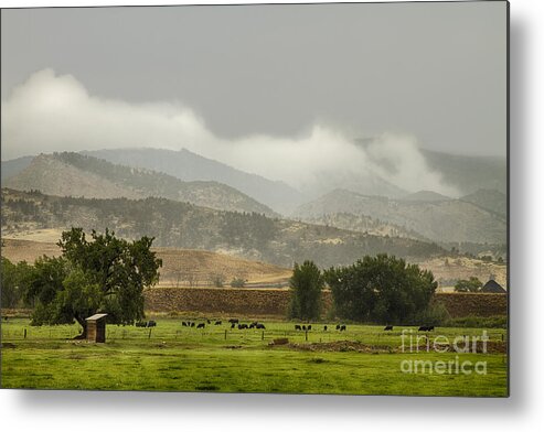 Rain Metal Print featuring the photograph 1st Day of Rain Great Colorado Flood by James BO Insogna