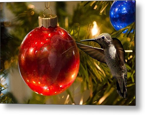 Christmas Metal Print featuring the photograph Reflecting on the Holiday by David Armentrout