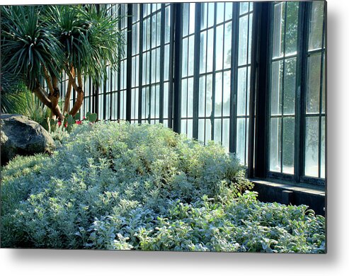Flowers Metal Print featuring the photograph Blue Garden by Crystal Wightman