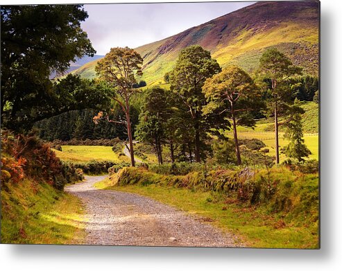 Jenny Rainbow Fine Art Photography Metal Print featuring the photograph Celtic Spirit. Wicklow Mountains. Ireland #1 by Jenny Rainbow