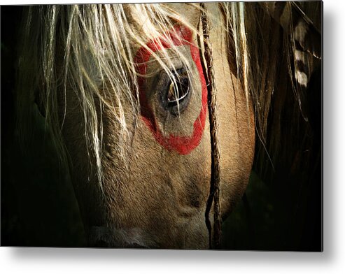 Indian Pony Metal Print featuring the photograph Eagle Eye by Lyndsey Warren