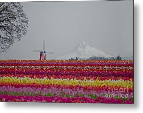 Pacific Metal Print featuring the photograph For The Beauty Of The Earth #2 by Nick Boren