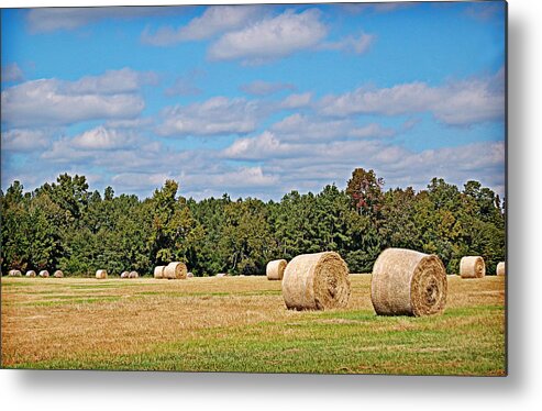 Hay Metal Print featuring the photograph Hay Field #2 by Linda Brown