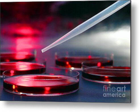 Biology Metal Print featuring the photograph Laboratory Experiment in Science Research Lab #2 by Olivier Le Queinec