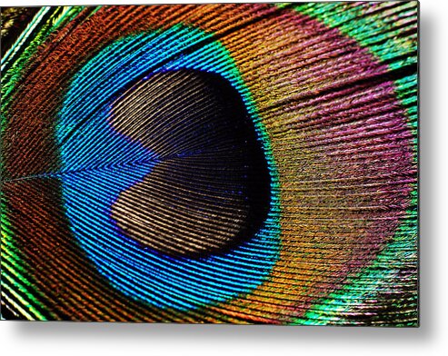 Photograph Metal Print featuring the photograph Peacock Feather #2 by Larah McElroy