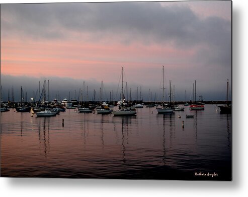 Barbara Snyder Metal Print featuring the photograph Pink Reflections #1 by Barbara Snyder
