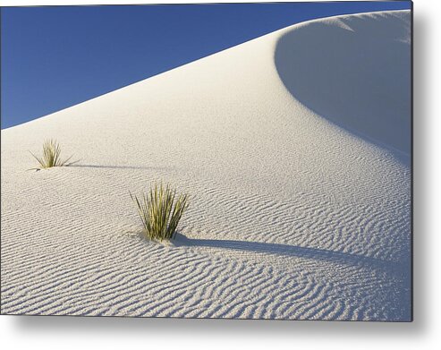 Feb0514 Metal Print featuring the photograph Soaptree Yucca In Gypsum Sand White #2 by Konrad Wothe