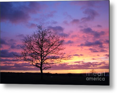 Spectacular Sunset Epsom Downs Surrey Uk Dusk Pink Sky Twilight Tree Silhouette Orange Sun Set Down English England Branches Lone Purple Blue Metal Print featuring the photograph Spectacular sunset Epsom Downs Surrey UK #3 by Julia Gavin