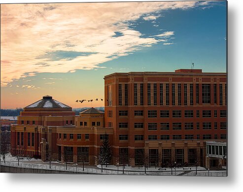 Rochester Minnesota Geese Goose Bird Fowl Water Waterfowl Winter Snow Orange Red Yellow Blue White Sky Winter Scenic City Architecture Fly Flight Cloud Sun Sunrise Photographs Metal Print featuring the photograph Sunrise Flyby #2 by Tom Gort