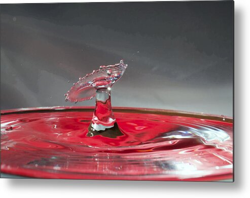 Water Metal Print featuring the photograph Water Drop #2 by William Ragan