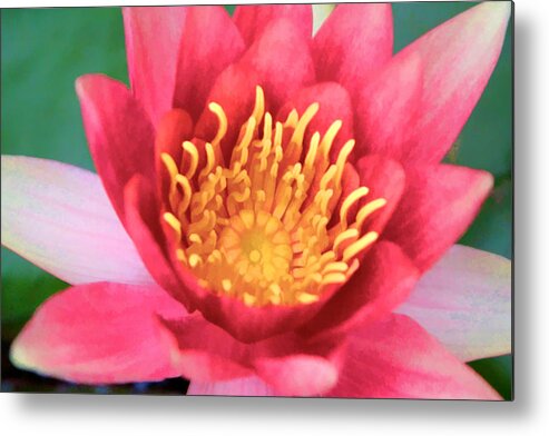 Water Lily Metal Print featuring the digital art Water Lily #2 by Photographic Art by Russel Ray Photos