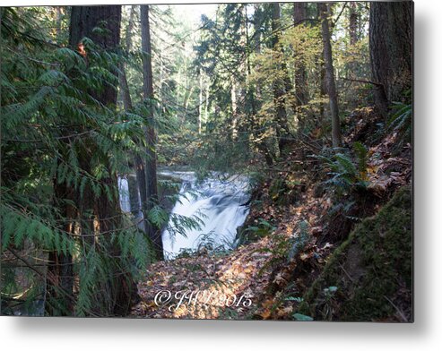 Whatcom Falls Metal Print featuring the photograph Whatcom Falls #2 by Judy Wright Lott