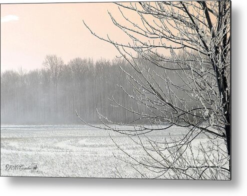 Mccombie Metal Print featuring the photograph Winter Woods #2 by J McCombie