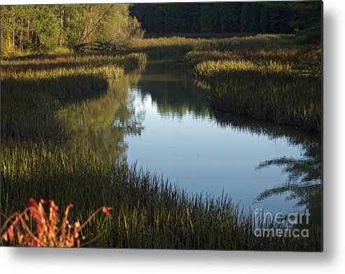 Fall Metal Print featuring the photograph Wye River #2 by Elaine Mikkelstrup