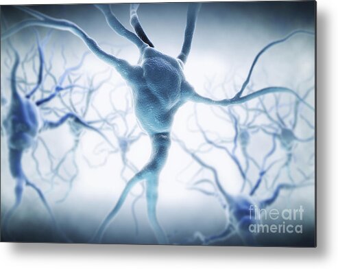 Digitally Generated Image Metal Print featuring the photograph Neurons #20 by Science Picture Co
