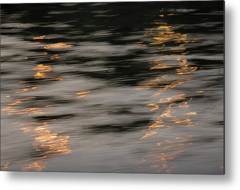 Blurred Motion Metal Print featuring the photograph Organic #22 by Michael Banks