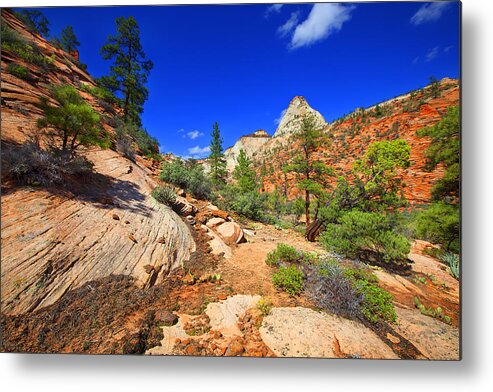 Landscape Metal Print featuring the photograph Zion National Park Utah USA #23 by Richard Wiggins