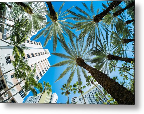 Architecture Metal Print featuring the photograph Miami Beach by Raul Rodriguez