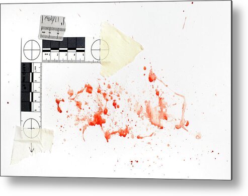 Evidence Metal Print featuring the photograph Blood Spatter Analysis #3 by Jim Varney/science Photo Library