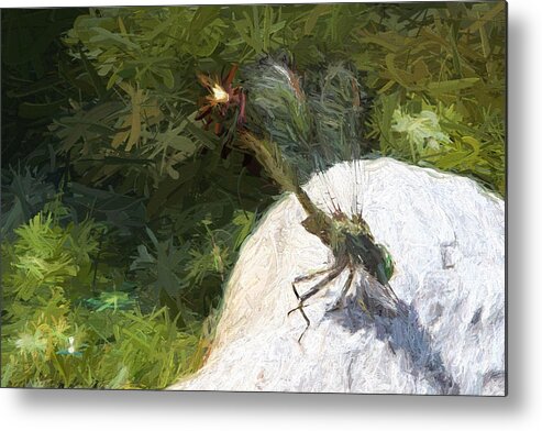 Dragonfly Metal Print featuring the photograph Dragonfly #3 by John Freidenberg