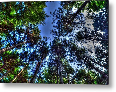 Fall Foliage In Maine Usa Metal Print featuring the photograph Fall Foliage in Maine USA #3 by Paul James Bannerman