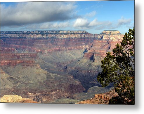 Scenic Metal Print featuring the photograph Grand Canyon National Park in Arizona #4 by Carol M Highsmith