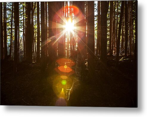 Colorful Metal Print featuring the photograph Here Comes the Sun #3 by Michele Cornelius