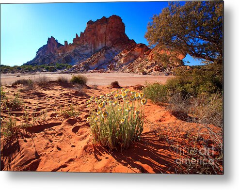 Rainbow Valley Sunrise Outback Landscape Central Australia Water Hole Northern Territory Australian Clay Pan Metal Print featuring the photograph Rainbow Valley by Bill Robinson