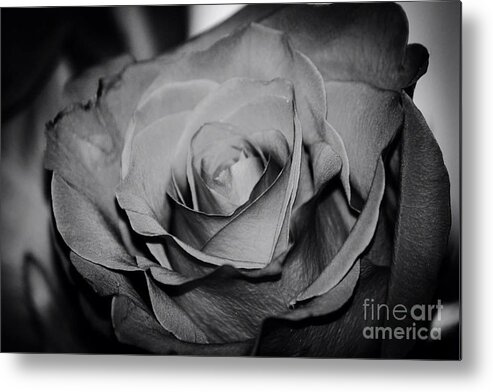 Black And White Rose Metal Print featuring the photograph Rose by Deena Withycombe