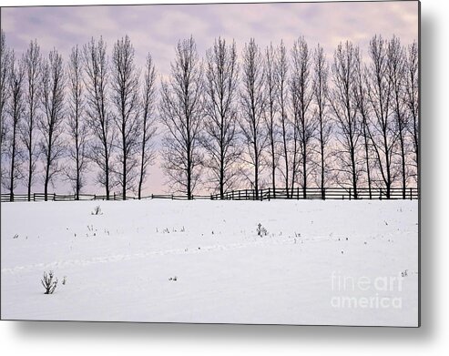 Landscape Metal Print featuring the photograph Rural winter landscape 2 by Elena Elisseeva